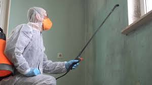 Best Mold Prevention Services  in Mulberry, IN